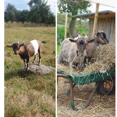 Le Domaine De La Petite Chevre Villa Ploumagoar Eksteriør bilde